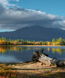 beautiful-shot-natural-scenery-autumn 1